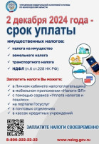 Налоги необходимо уплатить не позднее 2 ДЕКАБРЯ 2024 ГОДА Налоги необходимо уплатить не позднее 2 ДЕКАБРЯ 2024 ГОДА.